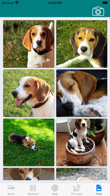 ThinkDog.eu screenshot-7