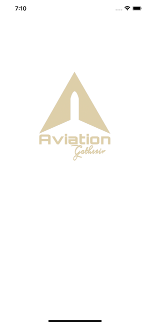 Aviation Gathering(圖1)-速報App