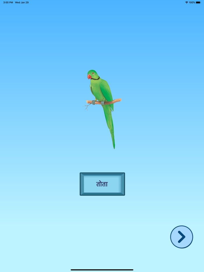 पक्षियों के बारे में जानें