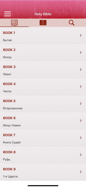 Russian Bible - Русский Библия(圖1)-速報App