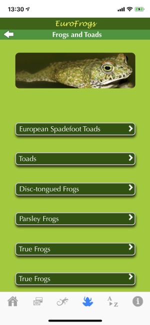 EuroFrogs(圖6)-速報App