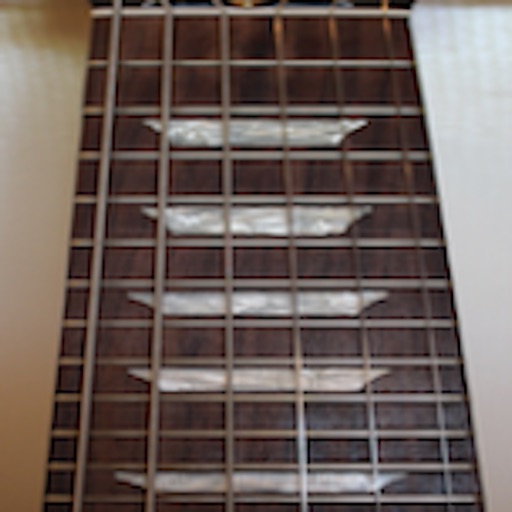 Electric Guitar Fretboard FREE