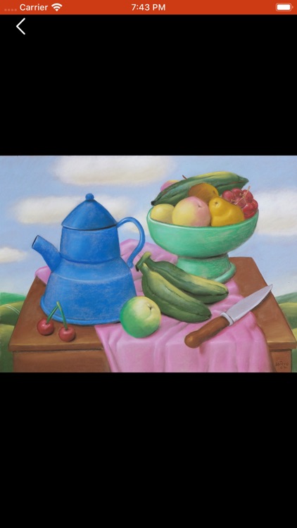 Botero screenshot-9