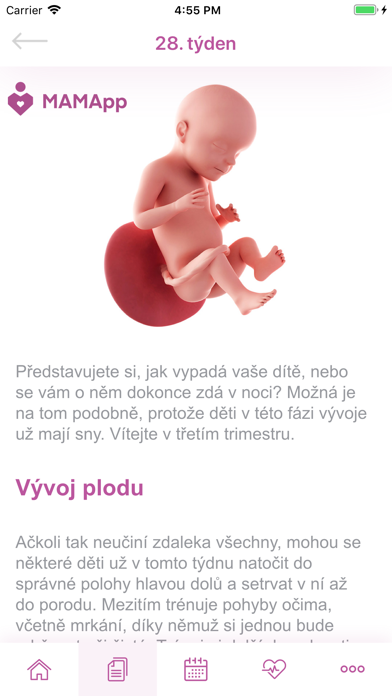 MAMApp CZ - vše o těhotenství screenshot 2