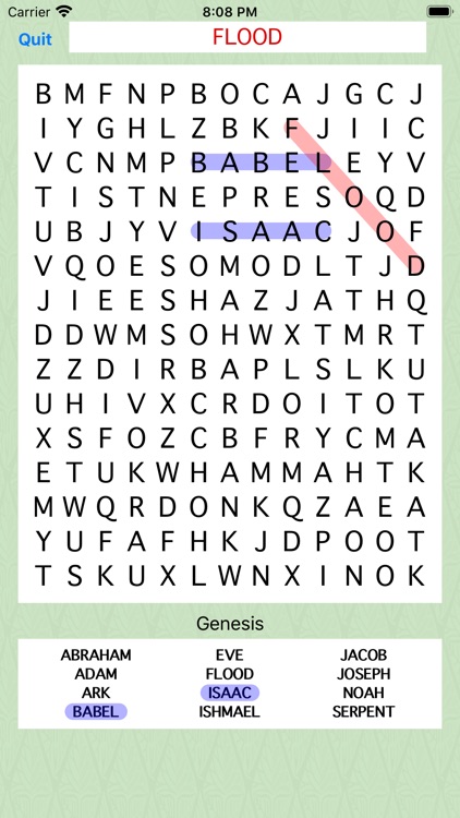 Giant Bible Word Search