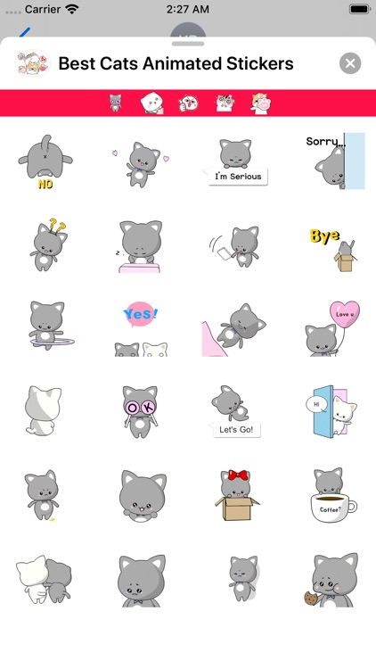 Best Cats Animated Stickers