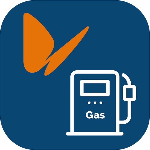 Naturgy:GNV