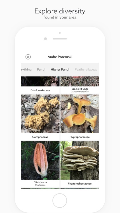 Fungi by Fieldguide