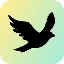 BlackBird - Creative Ecosystem