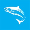 The Fish Factory Wholesale wholesale seafood order online 