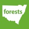 Your ultimate guide to exploring NSW State Forests