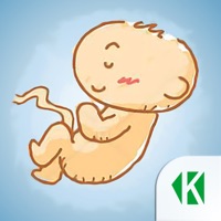 Беременность по неделям KLO sur PC