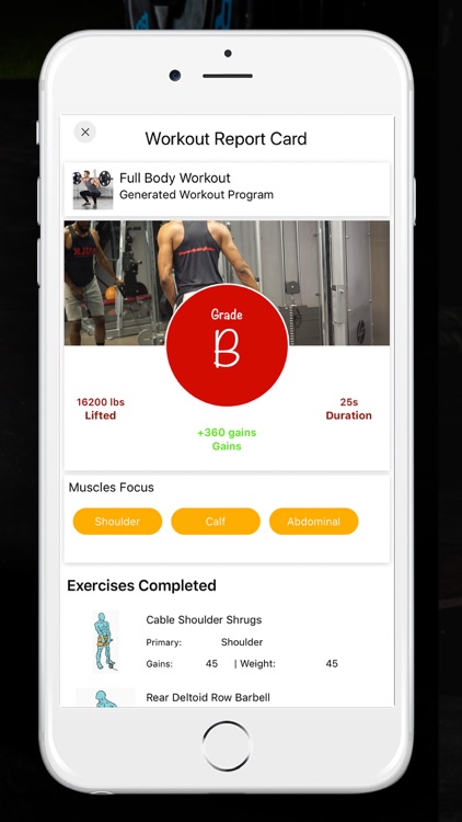 BULK: Home and Gym Workouts