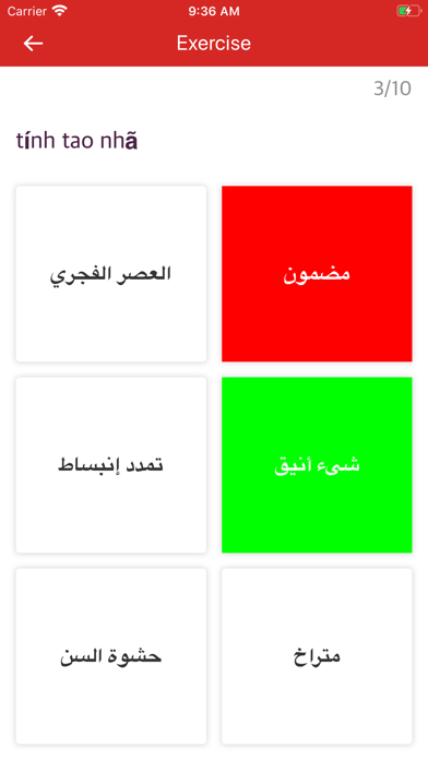 Arabic Vietnamese Dictionary screenshot 4