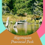 Algonquin Provincial Park