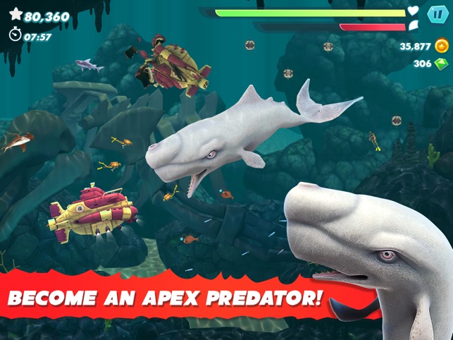 Hungry Shark Evolution On The App Store - roblox sharkbite audio id