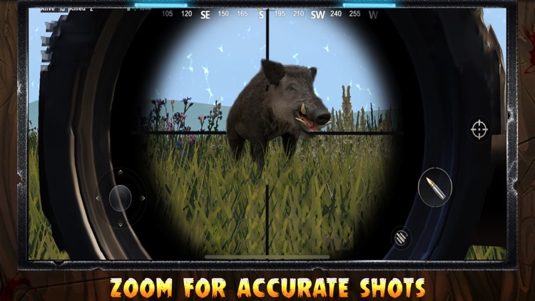 Pig Hunting Shooting Game screenshot-3