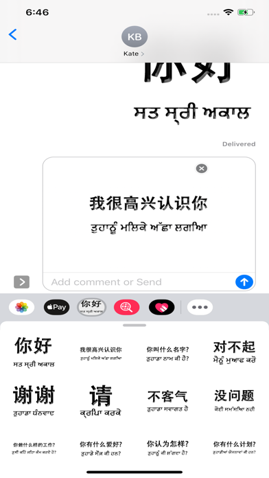Punjabi Chinese screenshot 3