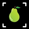 Fruit Identifier: Fruit ID