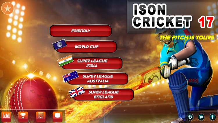 Ison Cricket 17 screenshot-0