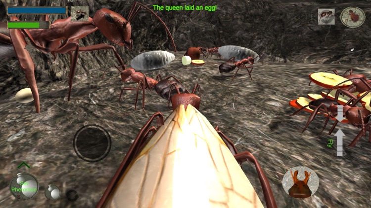 Ant Simulation Full screenshot-5
