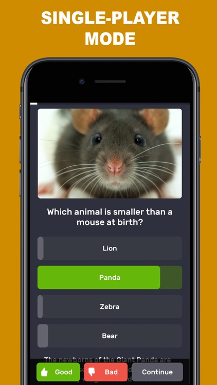 Questions & Answers: QuizzLand