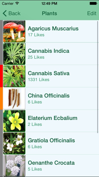 Materia Medica Live Pro