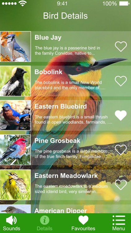 Bird Sounds of Nature 2020 screenshot-3