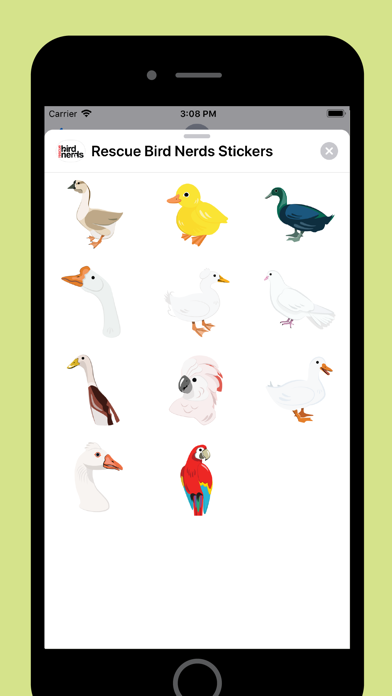 Rescue Bird Nerds screenshot 3
