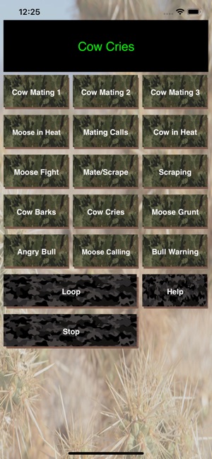 Bull-Cow Moose Hunting Calls(圖3)-速報App