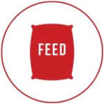 Louiso Feed  Seed