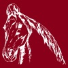 Marwari Horse Society