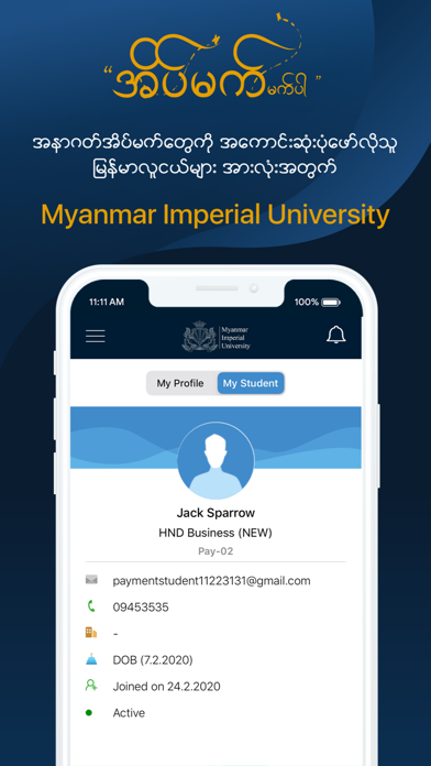 Myanmar Imperial University screenshot 3