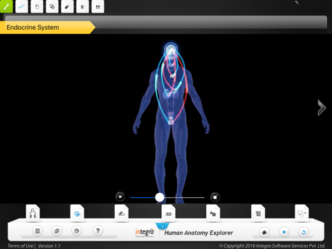 Human Anatomy - Endocrine screenshot 3
