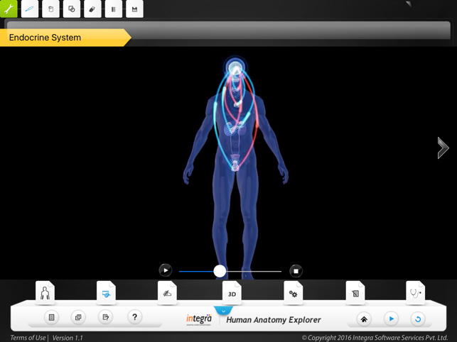 Human Anatomy - Endocrine(圖3)-速報App