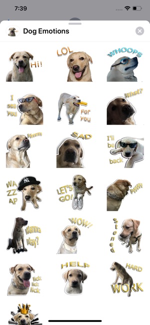 Dog Emotions Sticker Pack