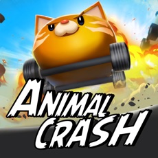 Activities of Animal Crash