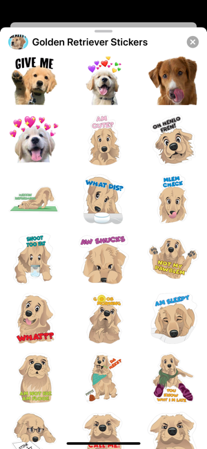 Golden Retriever Stickers(圖2)-速報App