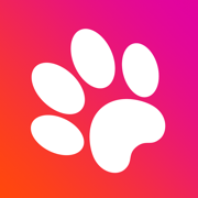 Game for cats!