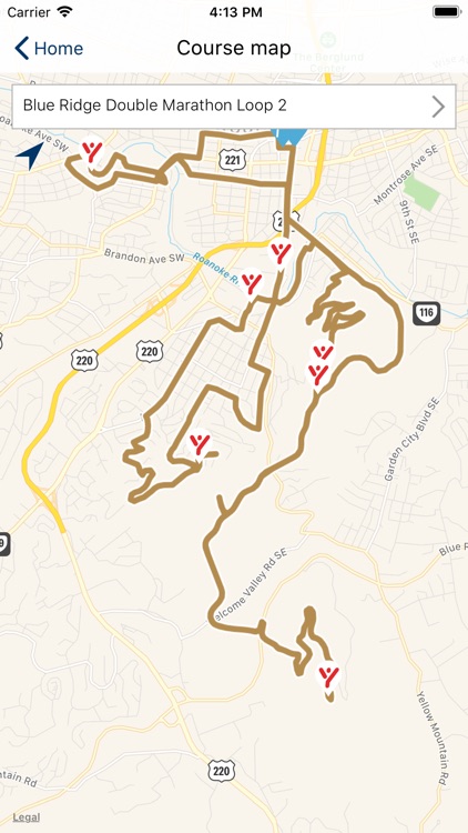 Blue Ridge Marathon 2019