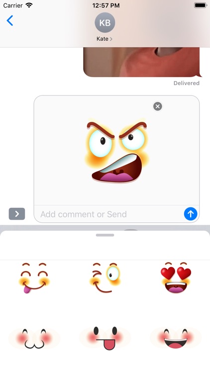 Your Own Face Stickers