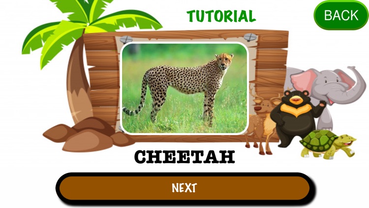 Animals Game!! screenshot-5