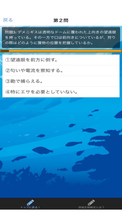 マジメに深海生物検定 screenshot-3