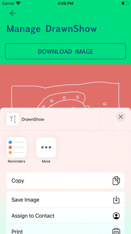 DrawnShow screenshot-4