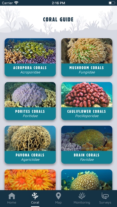 Coral Whitsundays screenshot 2