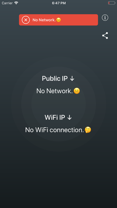 Find IP • Public & WiFi screenshot 4