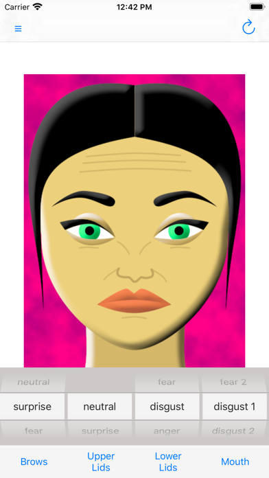 Making Facial Expressions screenshot 3