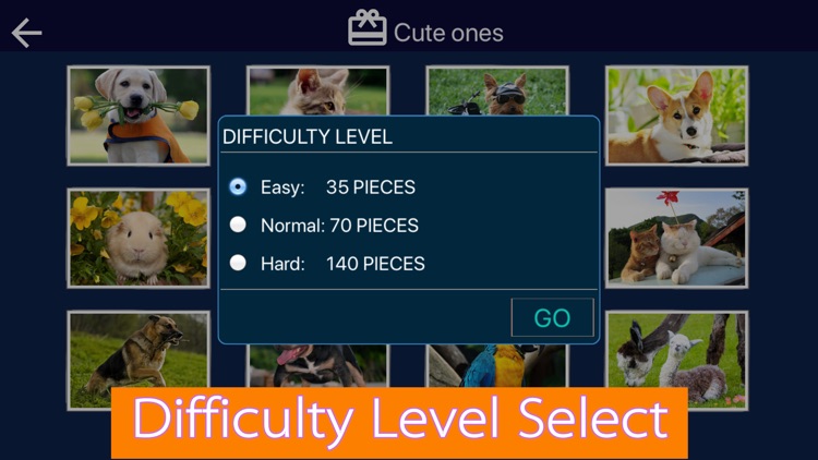 Jiasaw Puzzles Magic Game 2020