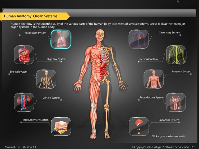 Human Anatomy Explorer(圖1)-速報App