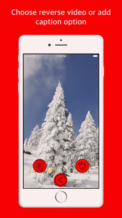 Reverse video - Add caption screenshot-4